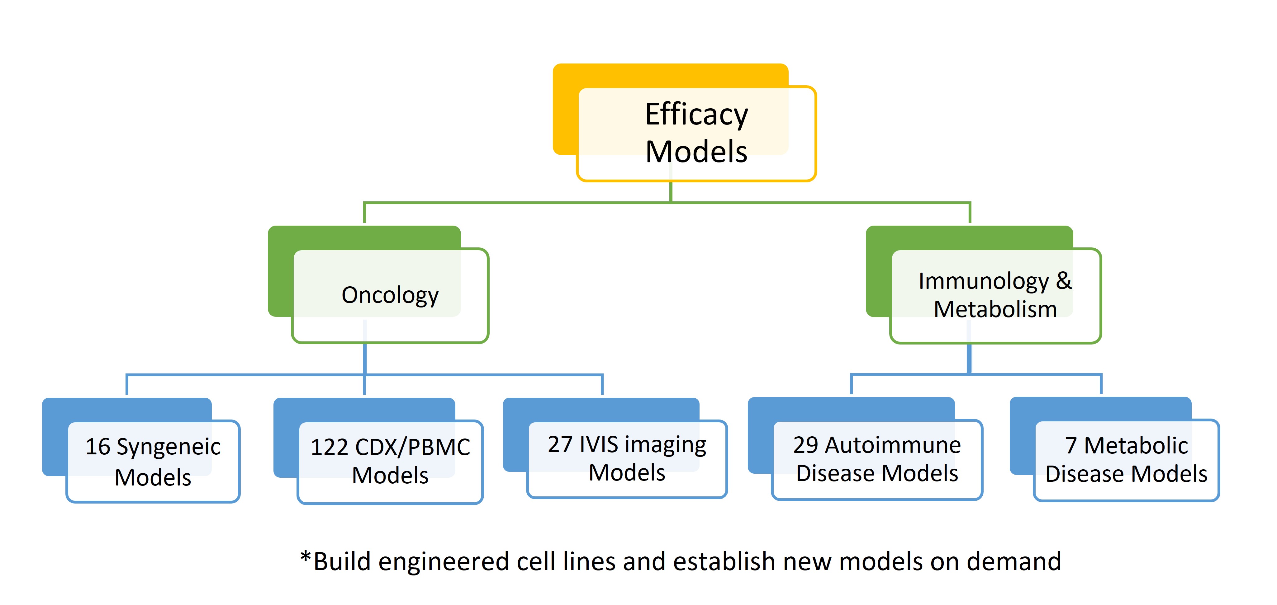 Efficacy models portfolio diagram spanning oncology, immunology, and metabolism.