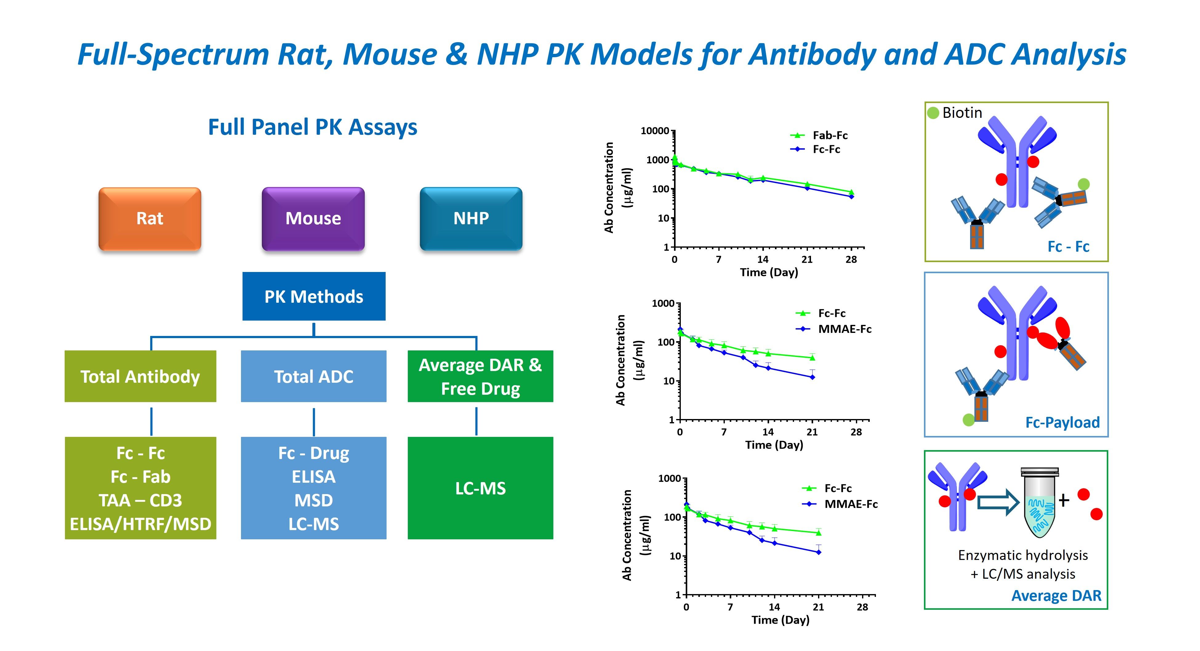 Figure showing a full-panel PK assay workflow across rat, mouse, and NHP PK studies, with methods for total antibody, total ADC, and average DAR/free drug analysis using ELISA, HTRF, MSD, and LC-MS, with example concentration-time profiles for Fc-Fc, Fc-payload, and DAR assessment.