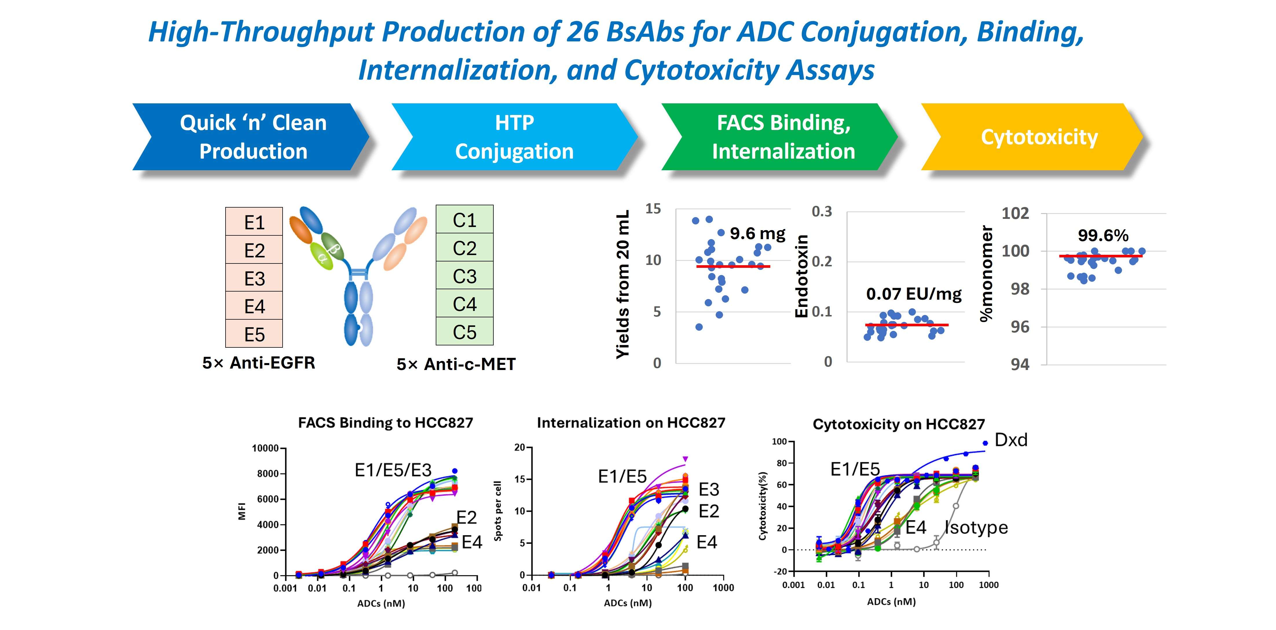 High-throughput bispecific ADC workflow showing rapid bsAb production, parallel conjugation, FACS binding, internalization, and cytotoxicity screening across multiple bispecific antibody pairings.