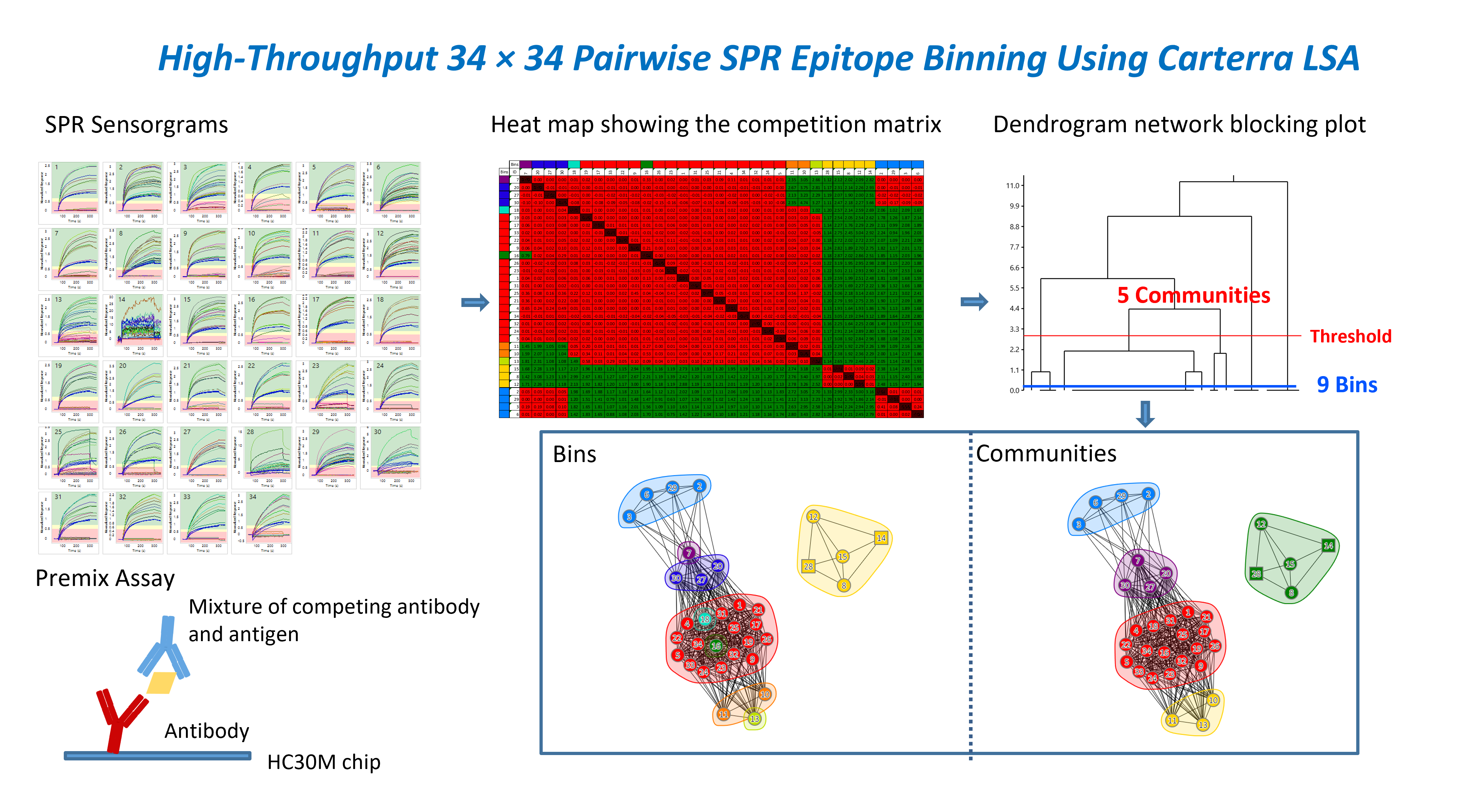 Surface plasmon resonance analysis epitope binning workflow using Carterra LSA, competition matrix heat map, dendrogram-based network blocking plot, and grouped antibody bins and communities from 34 × 34 pairwise binning.