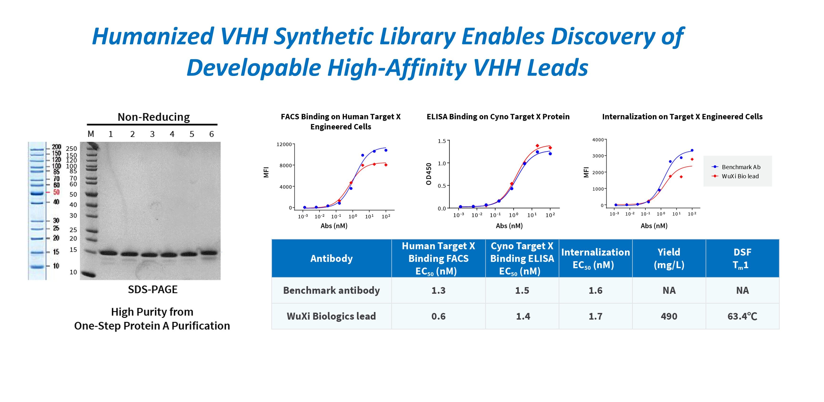 Case study: Humanized VHH synthetic library designed for high-quality VHH antibody discovery
