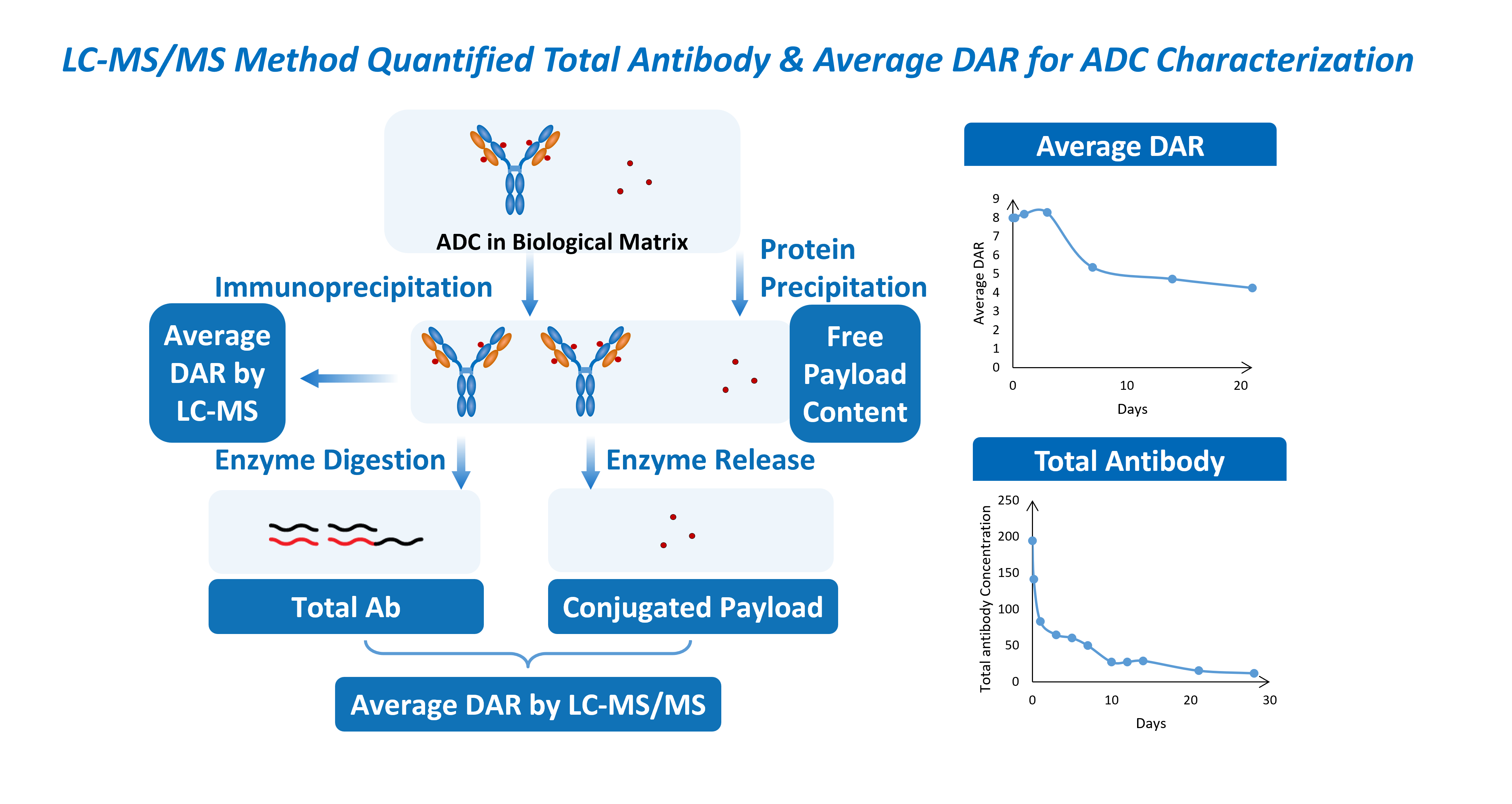 LC-MS/MS method for ADC PK assessment, illustrating workflows for quantifying total antibody, conjugated payload, free payload content, and average DAR over time in biological matrix samples.