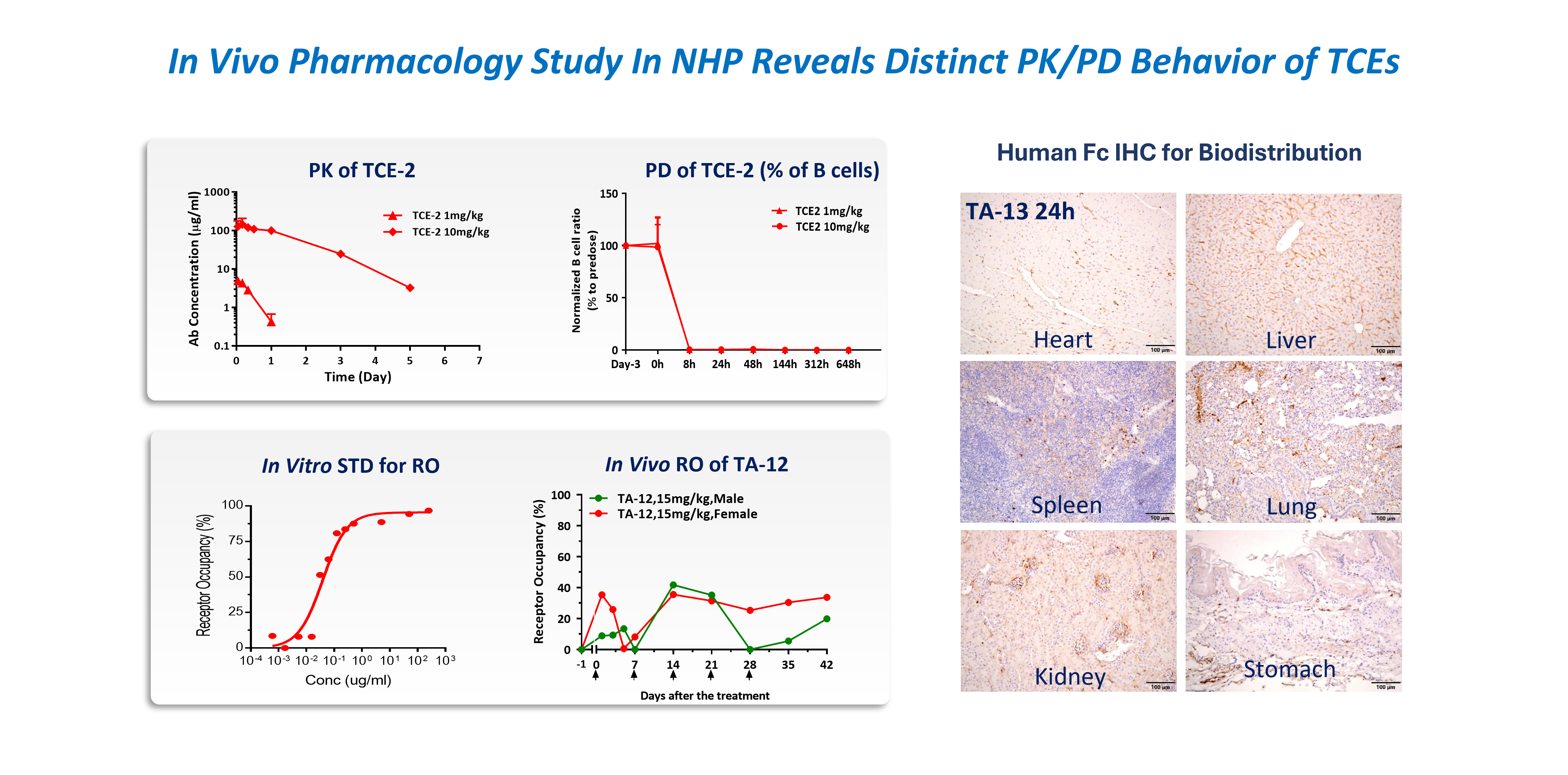NHP PK/PD and tissue distribution case study image.