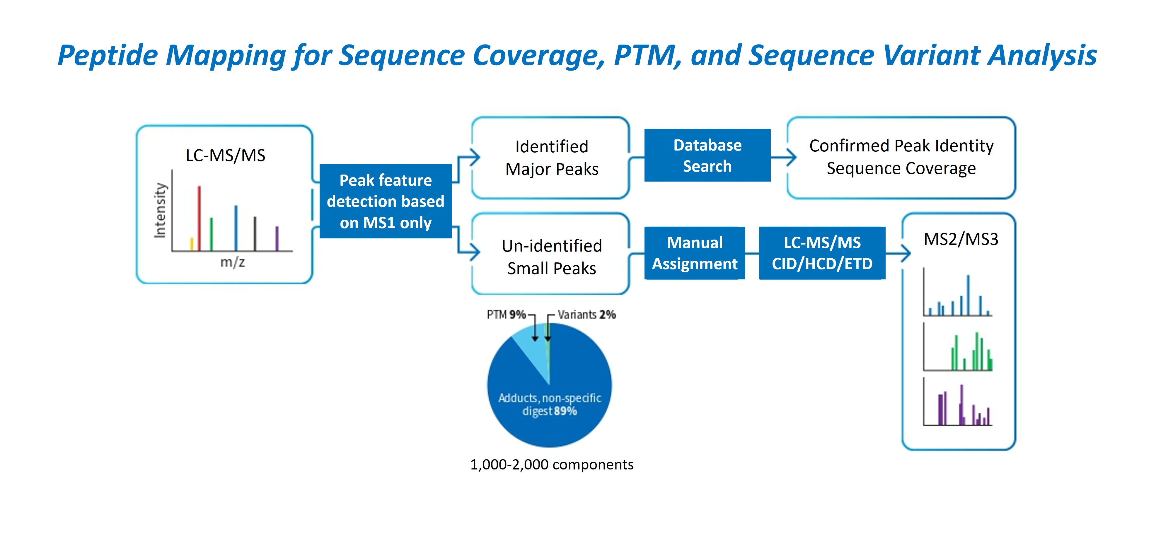 Figure showing LC-MS peptide mapping workflow for sequence coverage, PTM analysis, and sequence variant identification, including peak detection, database search, confirmed peptide identity, and sequence coverage visualization.
