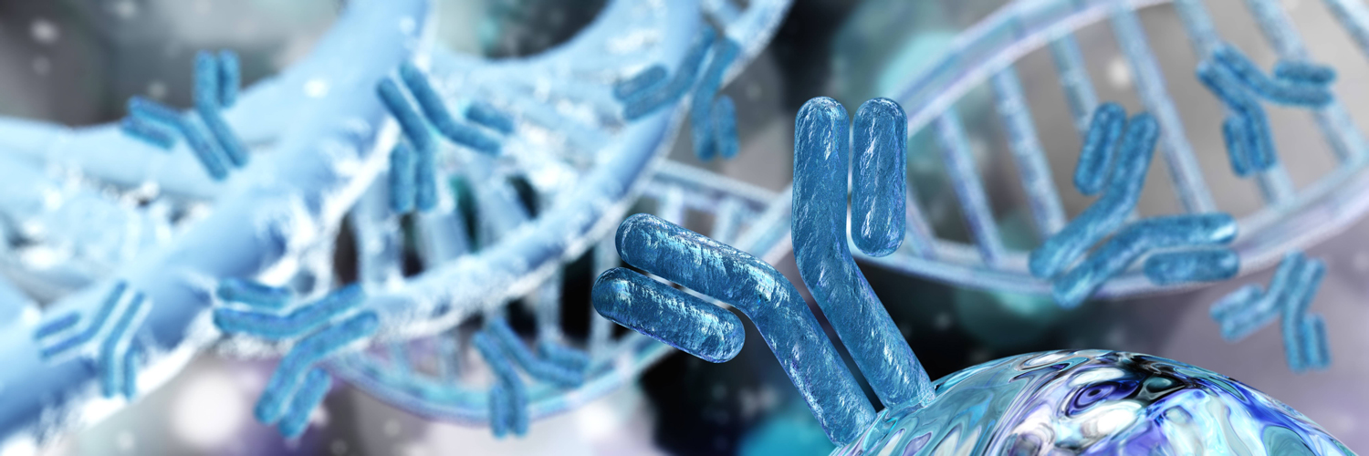 Provide phage and yeast display libraries for antibody discovery, offering diverse platforms, tailored selections, and success with challenging targets.