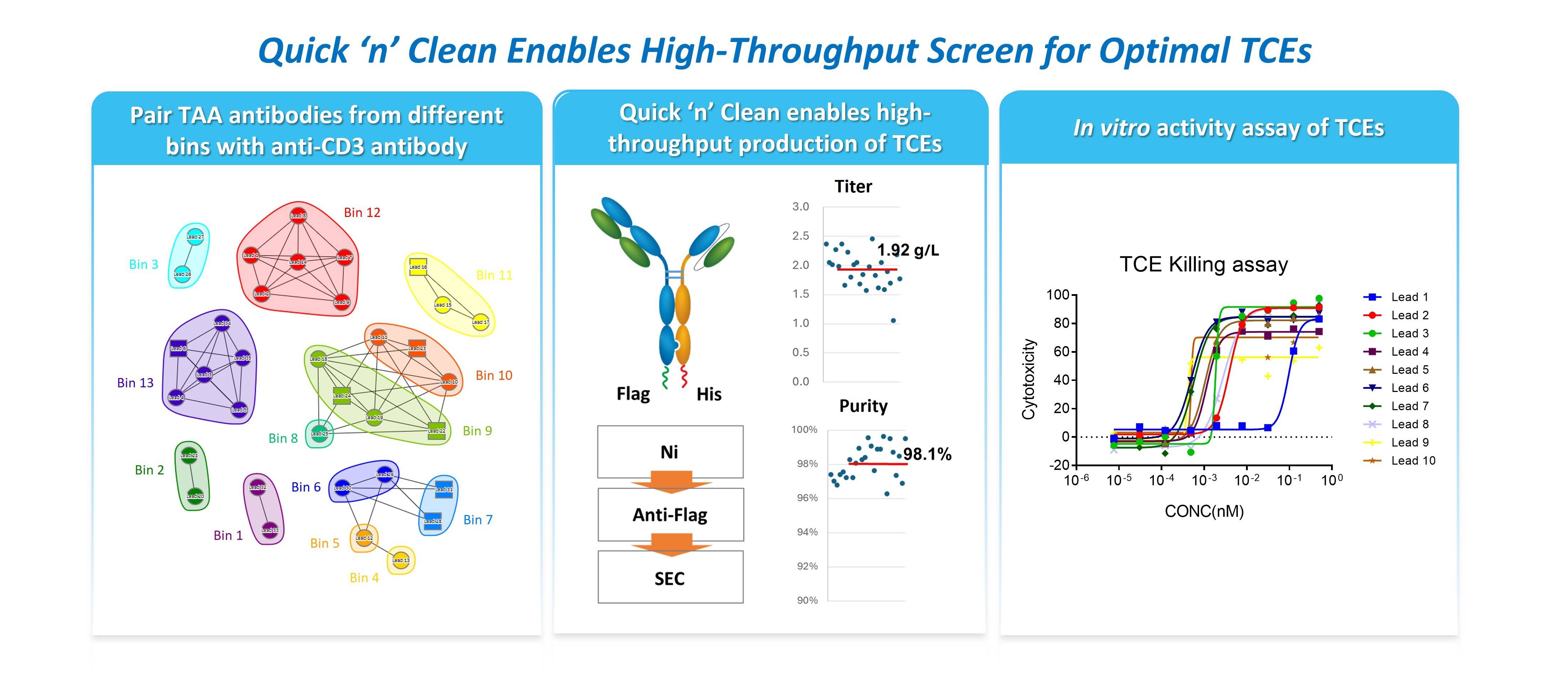 Quick ’n’ Clean workflow enabling high-throughput screening of bispecific T cell engagers