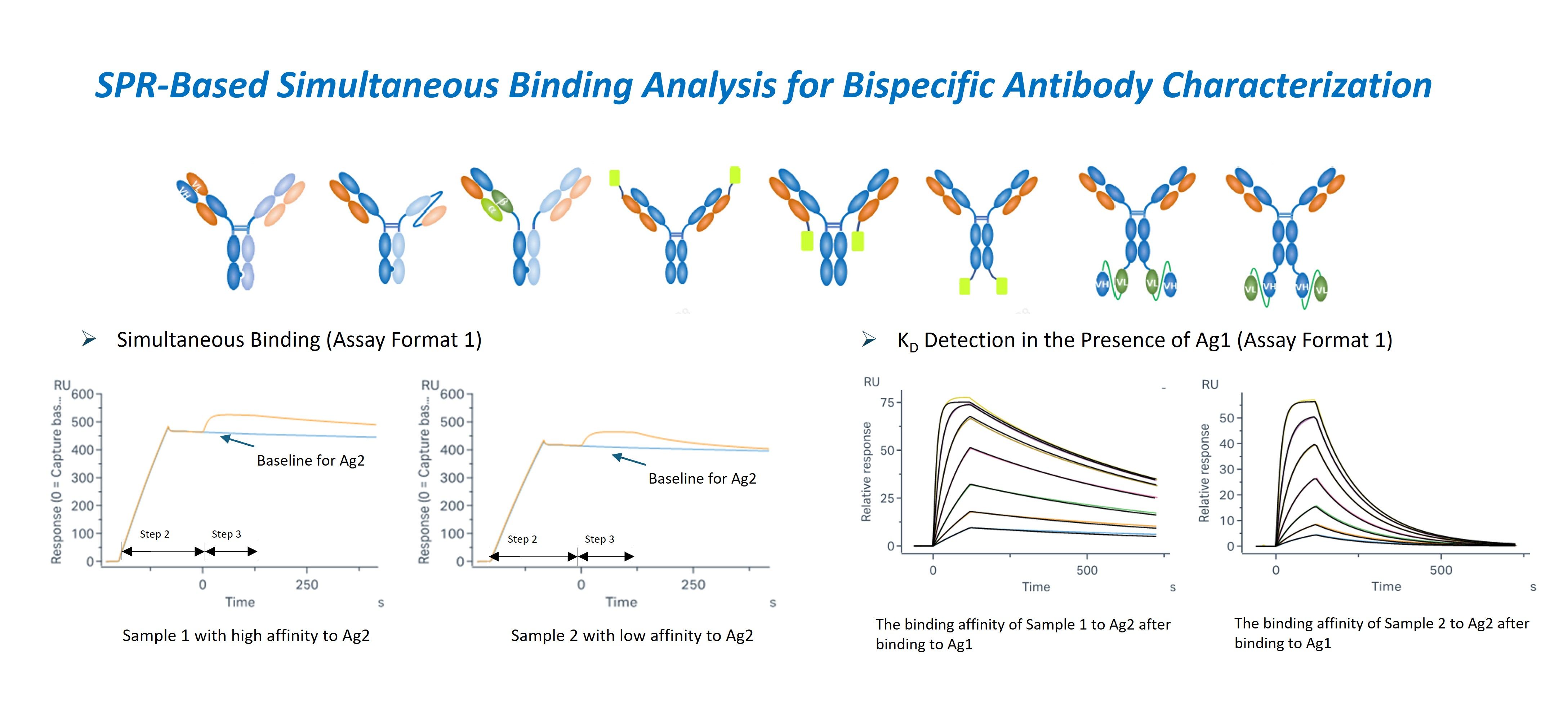 Figure showing SPR-based simultaneous binding analysis of bispecific antibodies, with sensorgrams demonstrating binding to two antigens and comparative affinity data across multiple candidates.