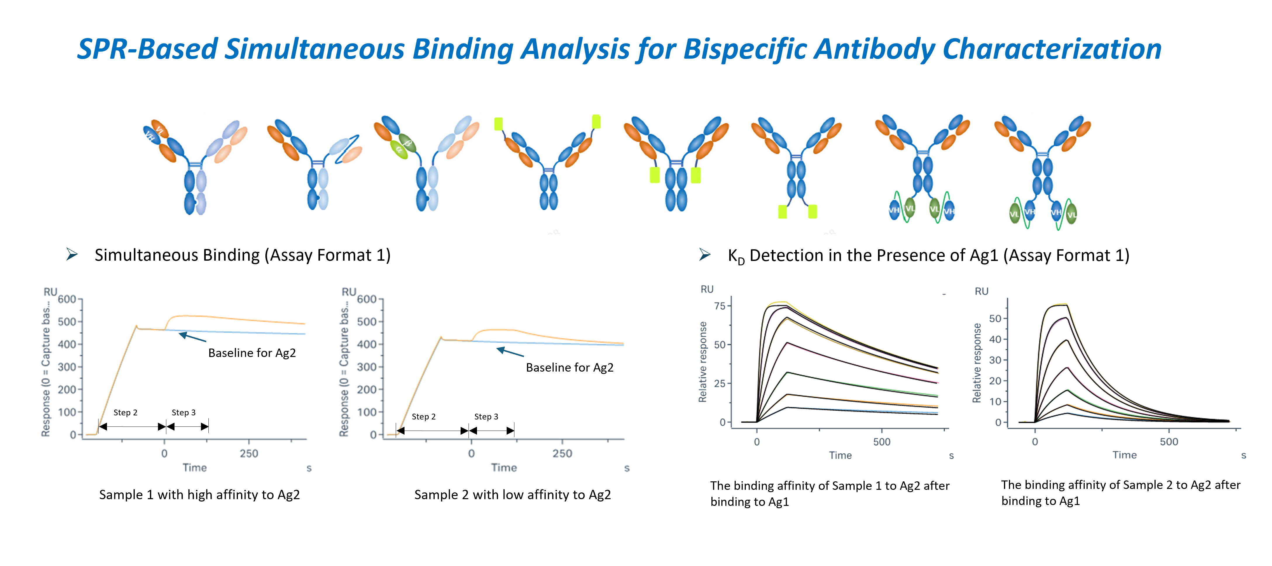 Surface plasmon resonance assay data showing simultaneous binding analysis and KD detection in the presence of a first antigen to characterize bispecific antibody binding to two targets.