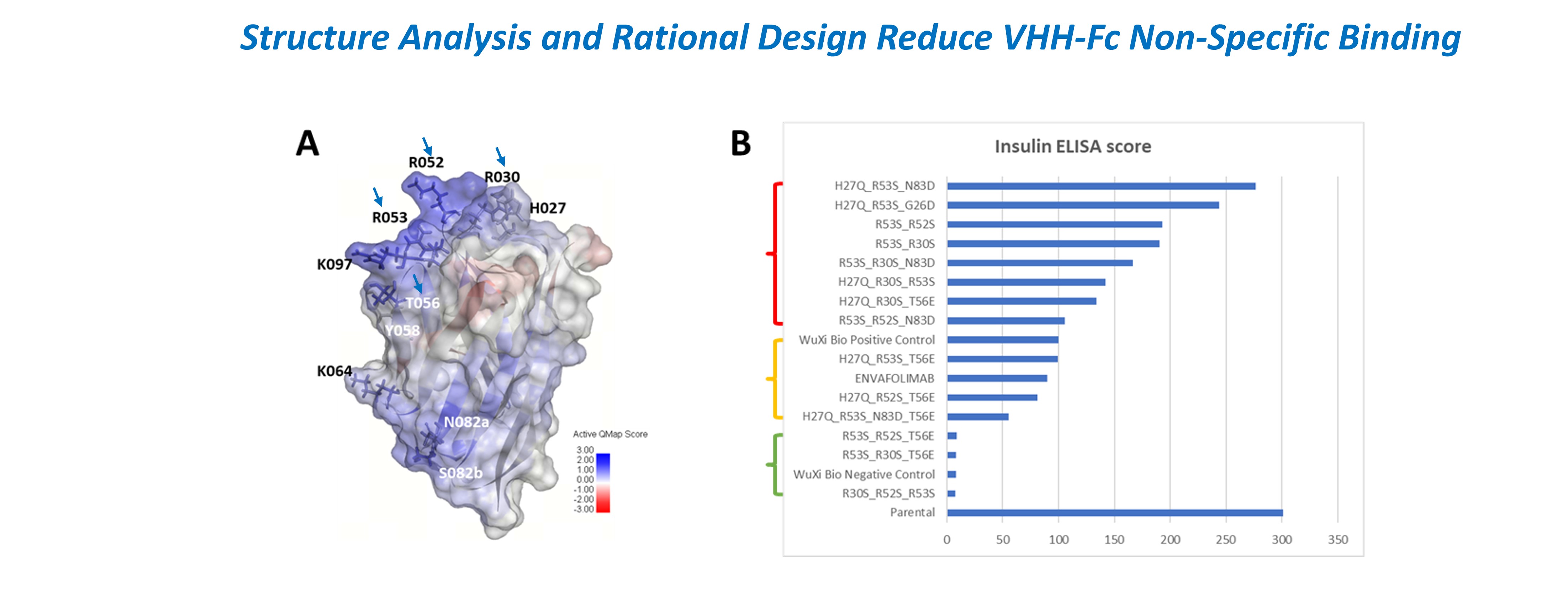 Figure showing a VHH-Fc developability optimization with structural modeling highlighting positively charged surface patches, and insulin ELISA ranking of engineered variants designed to reduce non-specific binding.