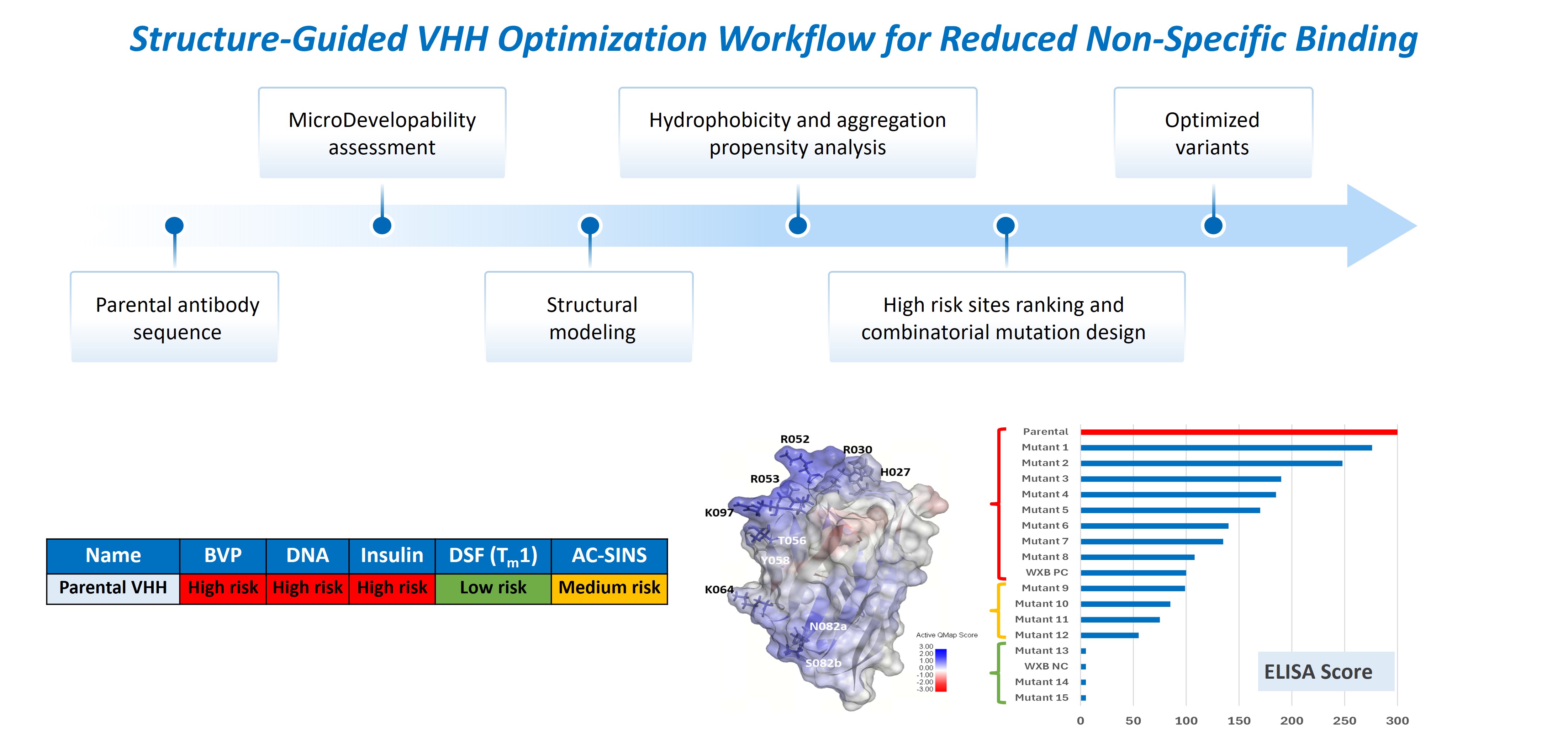 Workflow figure showing structure-guided VHH optimization from parental antibody sequence through MicroDevelopability assessment, structural modeling, hydrophobicity and aggregation analysis, high-risk site ranking, and optimized variant selection, with BVP, DNA, insulin, DSF, and AC-SINS risk results plus ELISA score ranking of engineered variants.