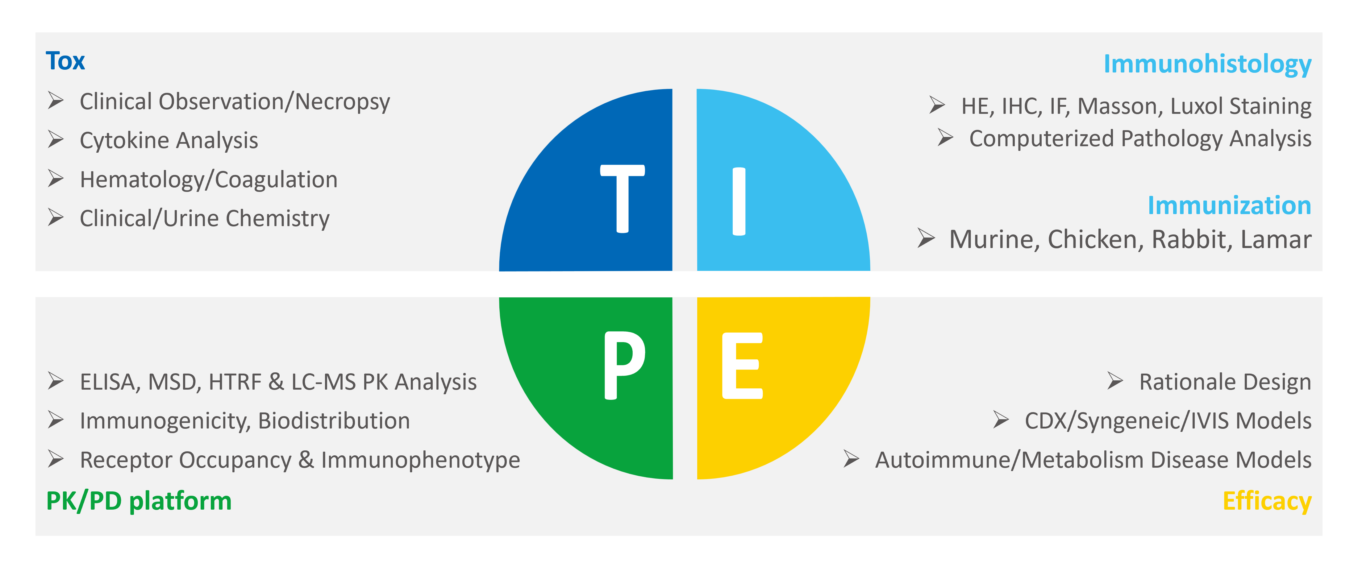 Overview of a preclinical in vivo pharmacology study platform for T cell engagers integrating toxicology, PK/PD and efficacy.