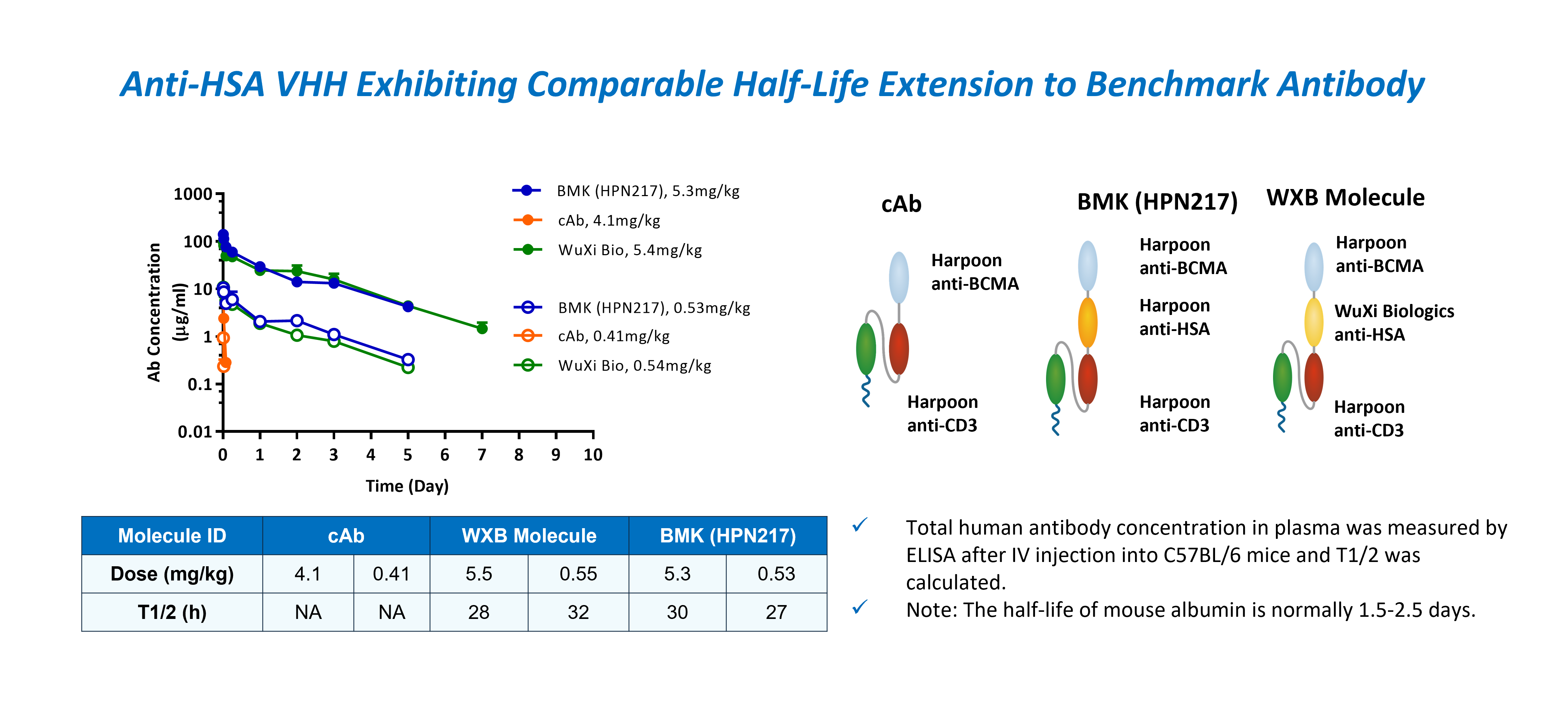 Anti-HSA VHH Enabling Half-Life Extension for Bispecific T-Cell Engager