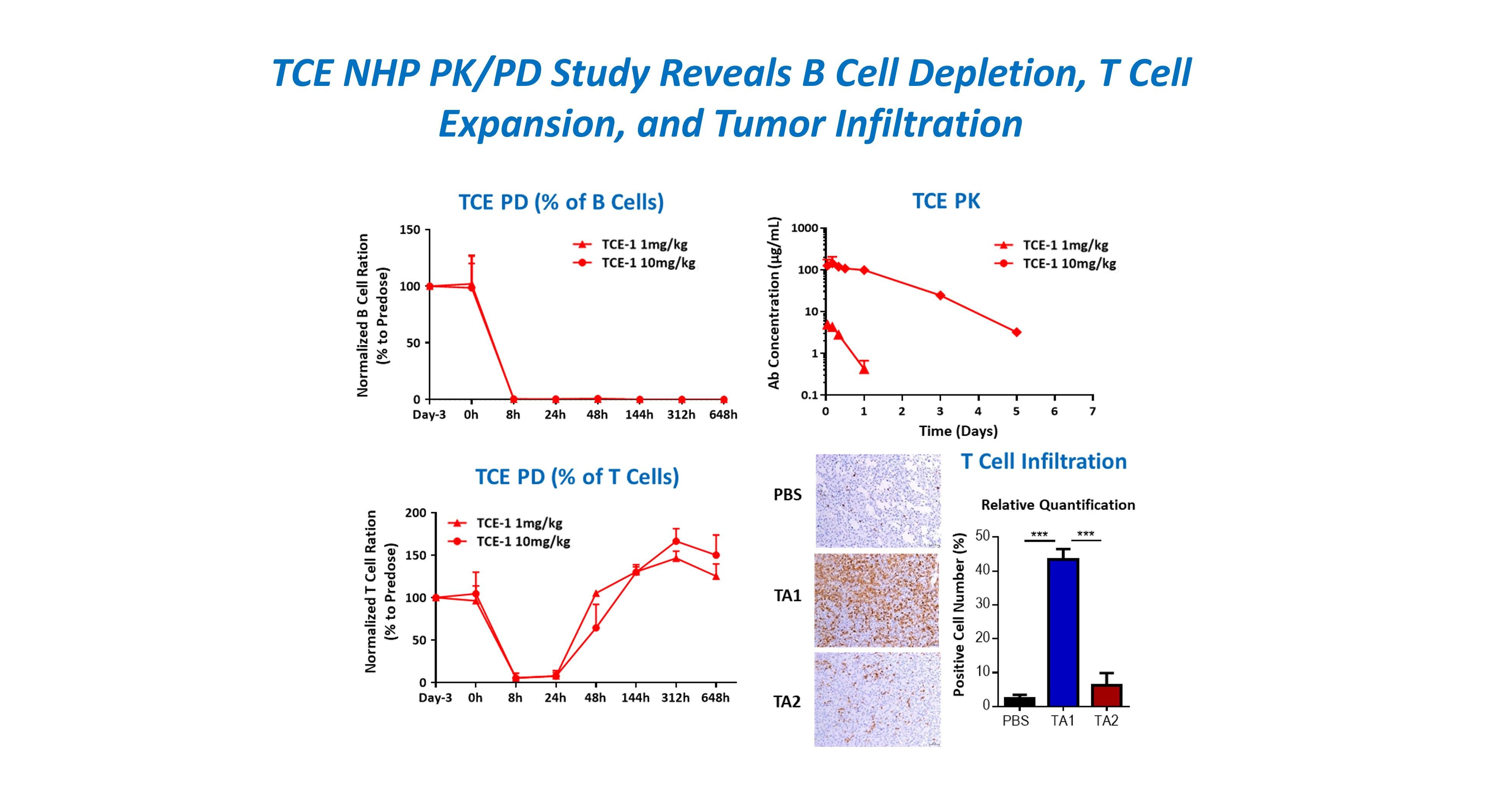 Figure showing integrated TCE NHP PK/PD data, including dose-dependent PK curves, rapid B cell depletion, T cell expansion over time, representative tumor staining images, and quantified T cell infiltration compared across treatment groups.