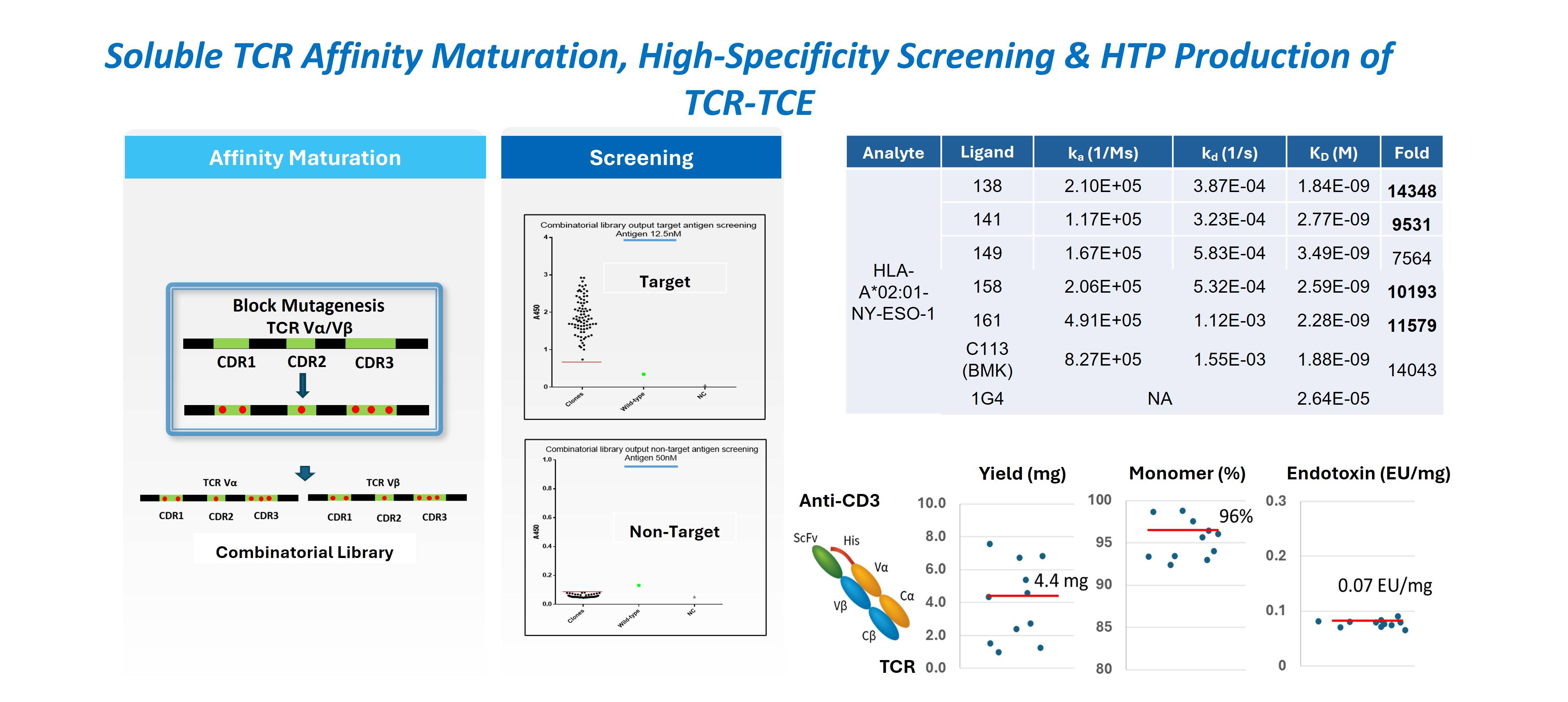 Case study illustrating TCR affinity maturation achieving ~10,000-fold improvement and exceptionally high specificity for targets over non-targets, followed by high-throughput CHO production of a TCR-TCE.