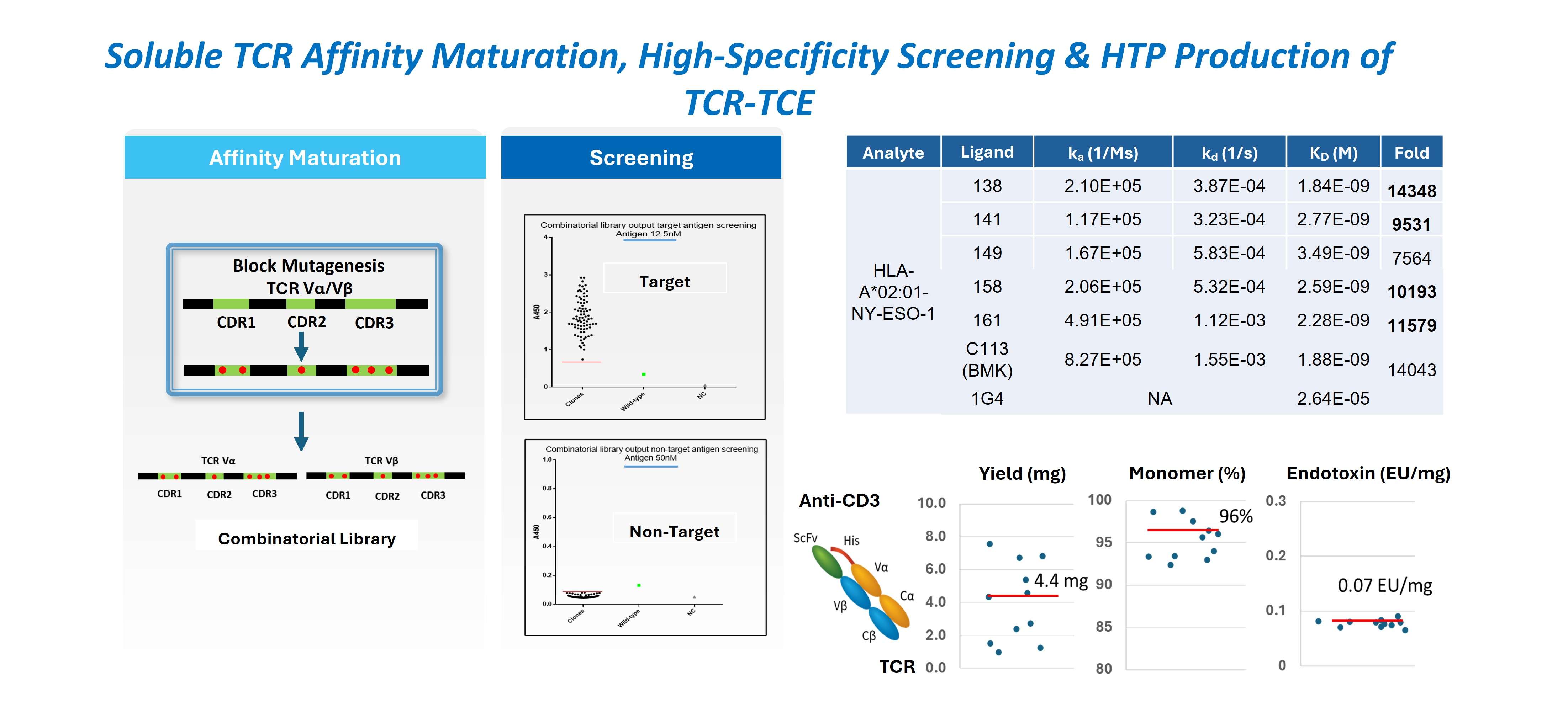Case study illustrating TCR affinity maturation achieving ~10,000-fold improvement, followed by high-throughput CHO production of a TCR-TCE.