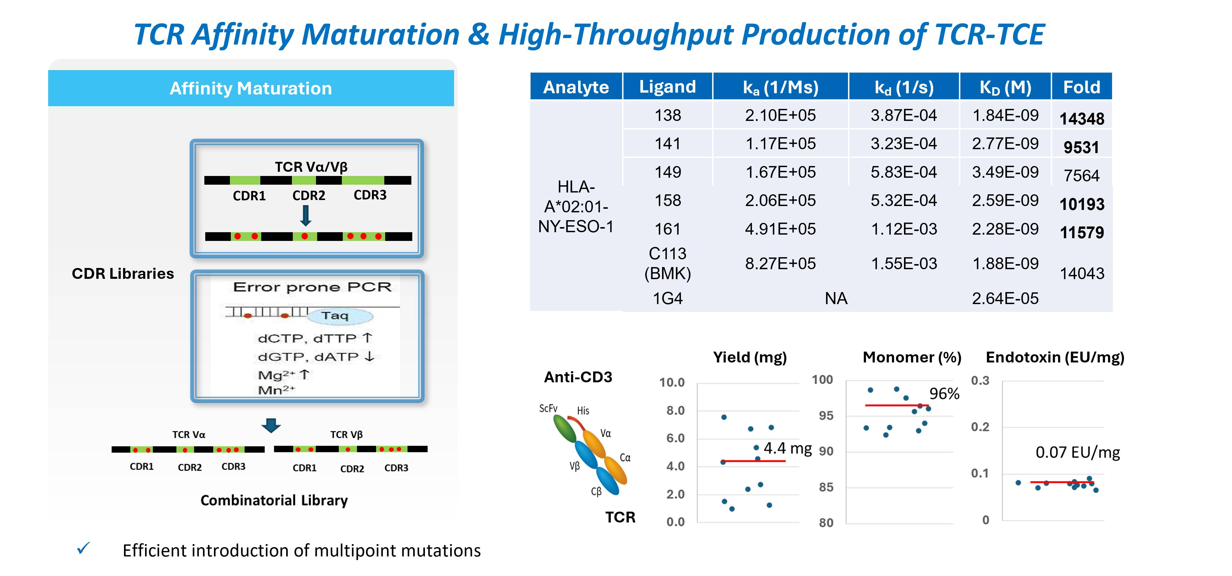 TCR Affinity Maturation & TCR-TCE Production