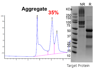 Significant improvement in the expression of a cysteine-rich protein when utilizing NS0 cells.