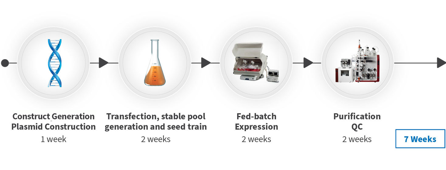 WuXian Express™: Stable pool protein expression system that can rapidly produce large quantities of proteins for early-stage drug discovery in just 4 to 7 weeks.